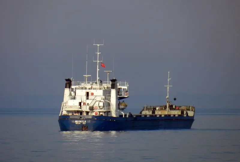 NEONILA General Cargo IMO 7907233 photo 6