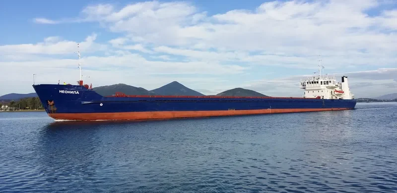 NEONILA General Cargo IMO 7907233 photo 7