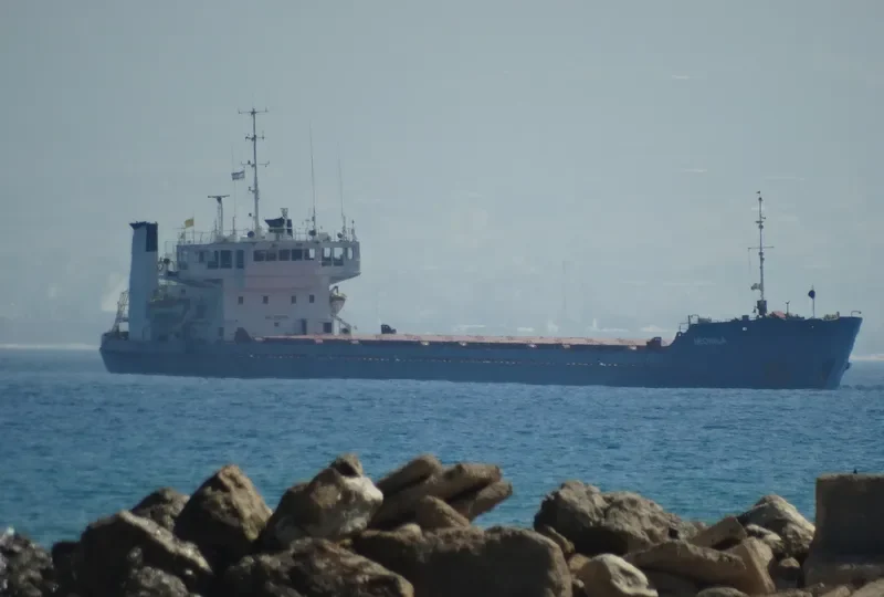 NEONILA General Cargo IMO 7907233 photo 8
