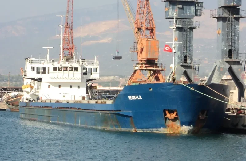 NEONILA General Cargo IMO 7907233 photo 9