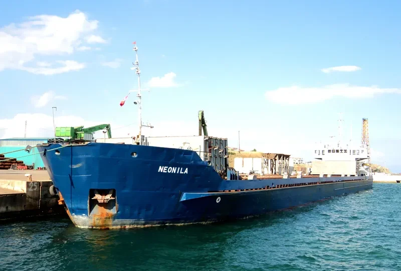 NEONILA General Cargo IMO 7907233 photo 10