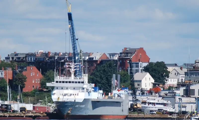 GREY SHARK Ro-Ro IMO 7907647 photo 6