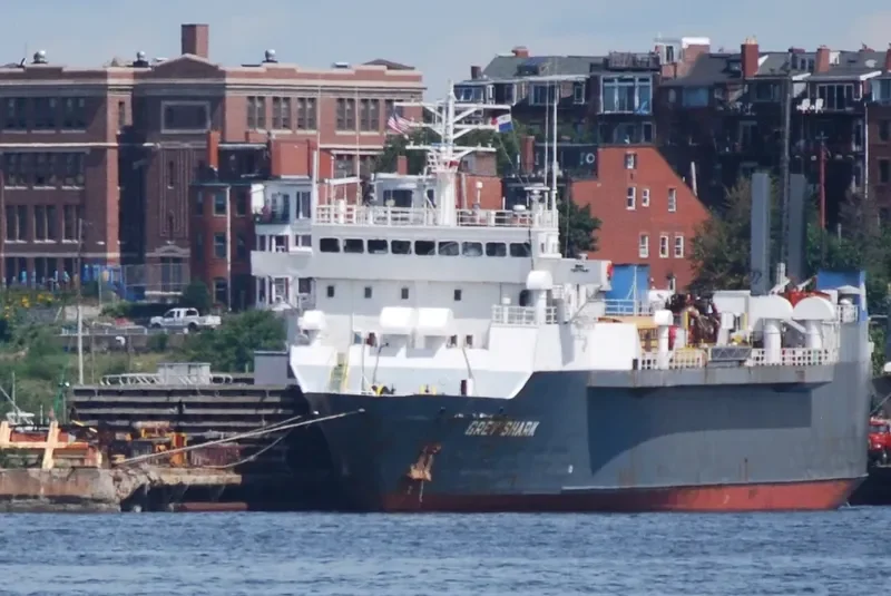 GREY SHARK Ro-Ro IMO 7907647 photo 8