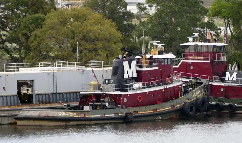 CAPE ROMAIN General Cargo IMO 7908134