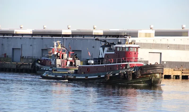 CAPE ROMAIN General Cargo IMO 7908134 photo 4