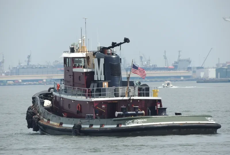 CAPE ROMAIN General Cargo IMO 7908134 photo 10