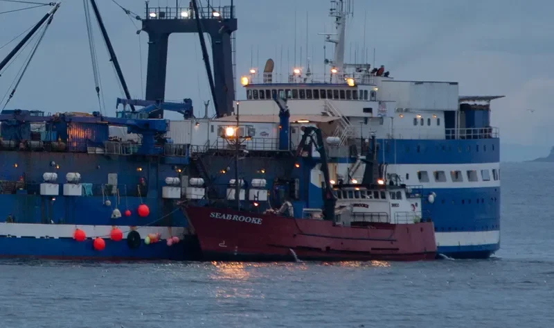 SEABROOKE General Cargo IMO 7908237 photo 3