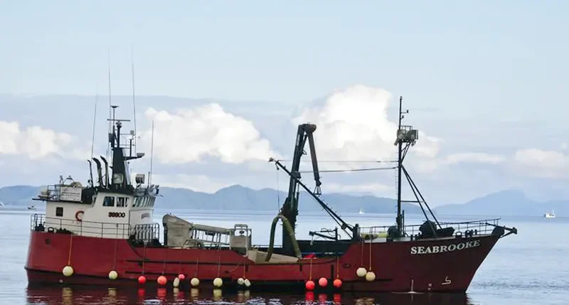 SEABROOKE General Cargo IMO 7908237 photo 4