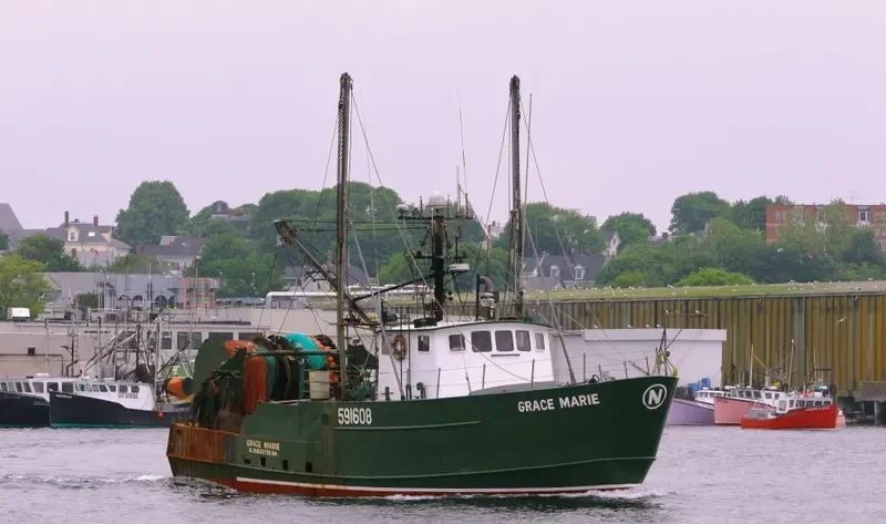 GRACE MARIE General Cargo IMO 7908366 photo 5