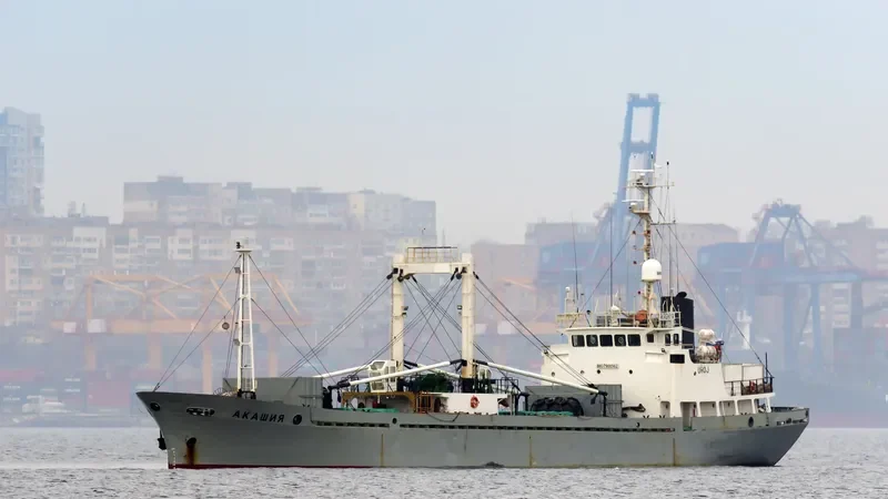 AKASHIYA General Cargo IMO 7908562 photo 9