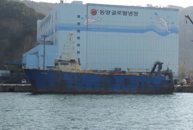 DIKTIS General Cargo IMO 7909449 photo 3