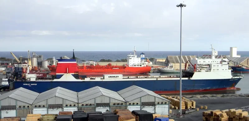 R.SHIPPER Ro-Ro IMO 7909621 photo 6