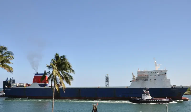 R.SHIPPER Ro-Ro IMO 7909621 photo 7