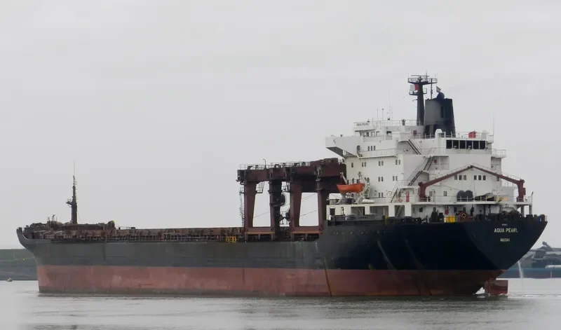 AQUA PEARL General Cargo IMO 7909865 photo 2