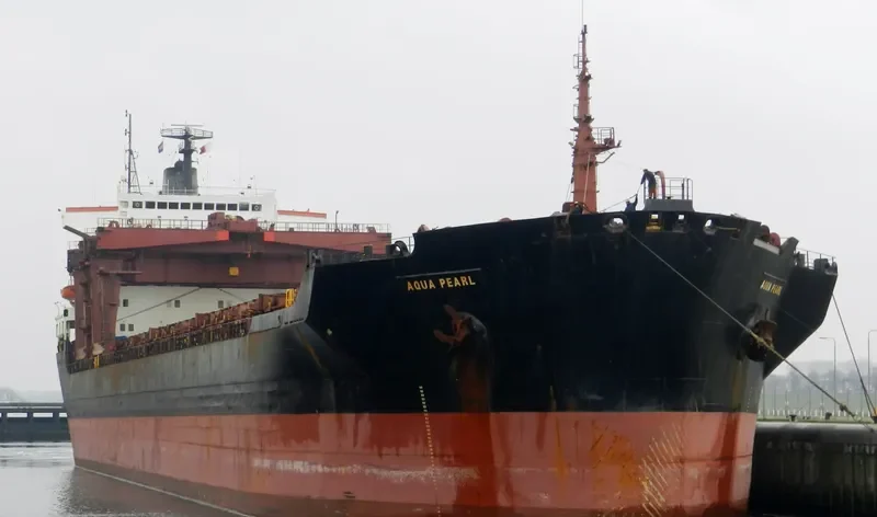 AQUA PEARL General Cargo IMO 7909865 photo 3