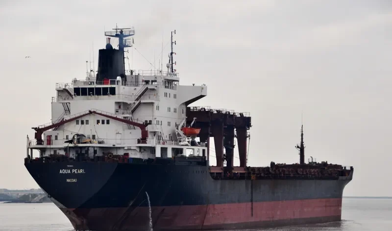 AQUA PEARL General Cargo IMO 7909865 photo 5