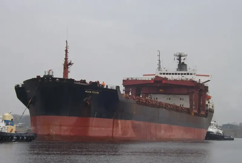 AQUA PEARL General Cargo IMO 7909865 photo 10