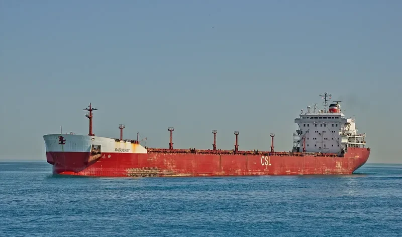 SAGUENAY Bulk Carrier IMO 7910175 photo 4