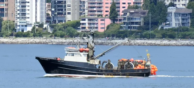 OCEAN PEARL General Cargo IMO 7910187