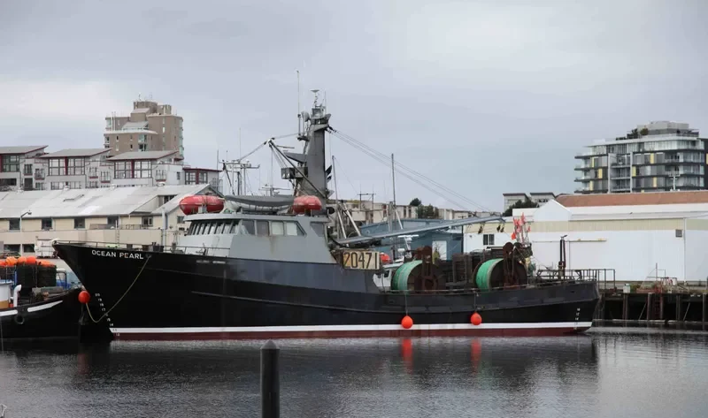 OCEAN PEARL General Cargo IMO 7910187 photo 6