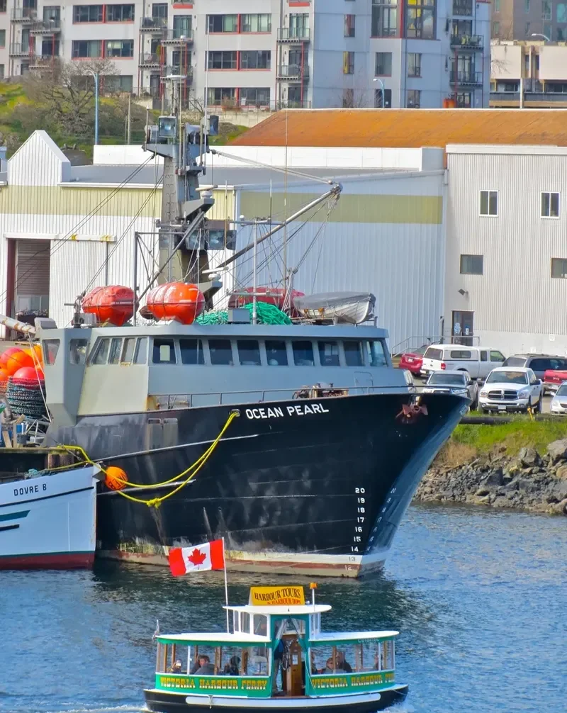 OCEAN PEARL General Cargo IMO 7910187 photo 8