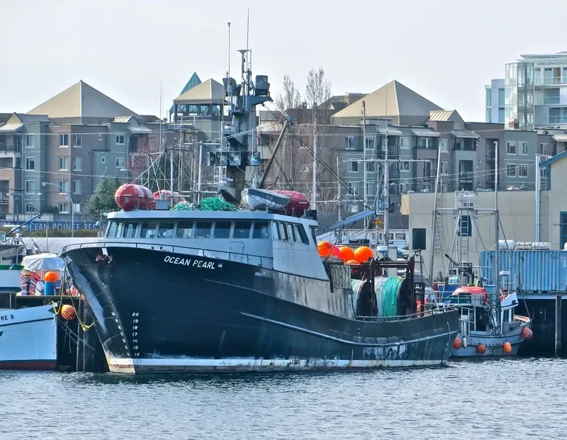 OCEAN PEARL General Cargo IMO 7910187 photo 9