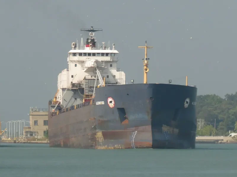 ALGOWOOD Bulk Carrier IMO 7910216 photo 5