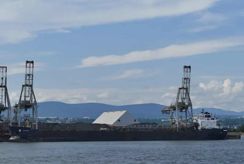 ALGOWOOD Bulk Carrier IMO 7910216 photo 6