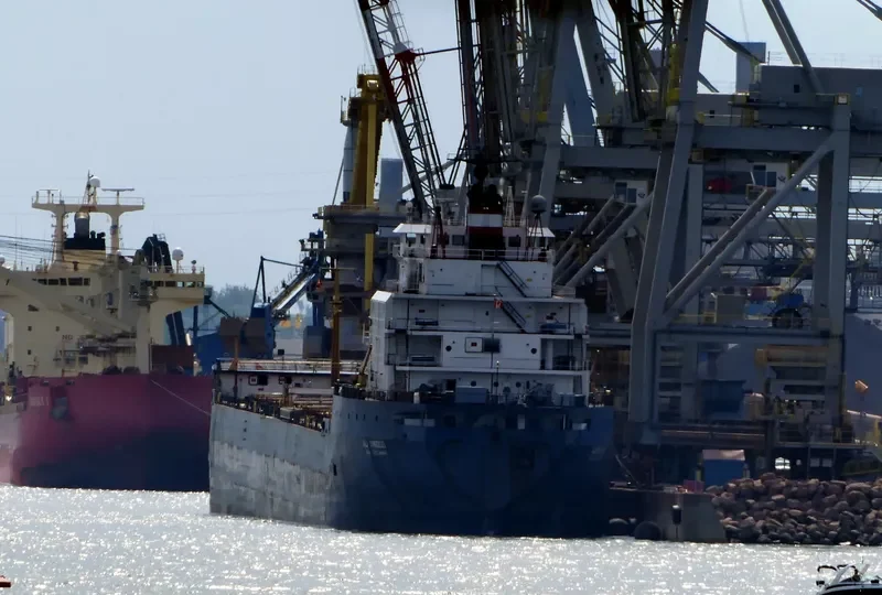 ALGOWOOD Bulk Carrier IMO 7910216 photo 8