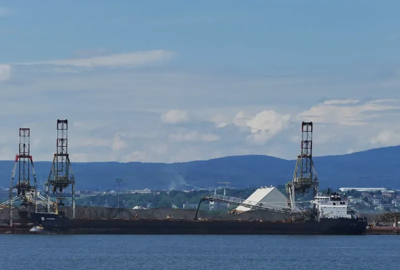 ALGOWOOD Bulk Carrier IMO 7910216 photo 10