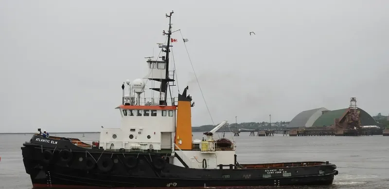 ATLANTIC ELM General Cargo IMO 7910230 photo 2