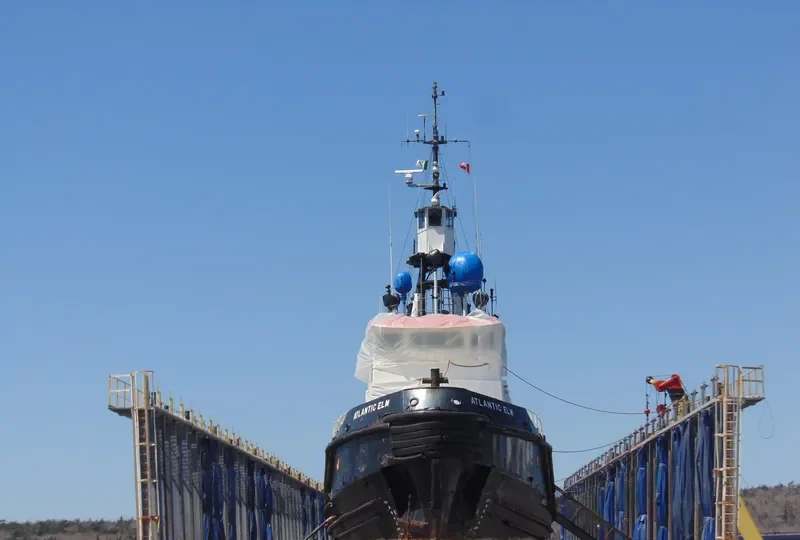 ATLANTIC ELM General Cargo IMO 7910230 photo 4