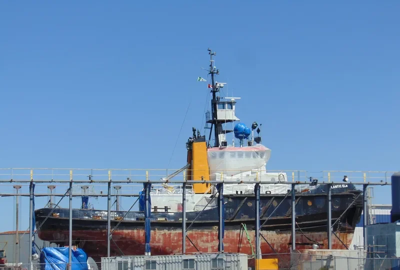 ATLANTIC ELM General Cargo IMO 7910230 photo 5