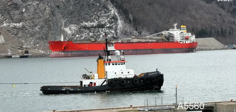 ATLANTIC ELM General Cargo IMO 7910230 photo 8