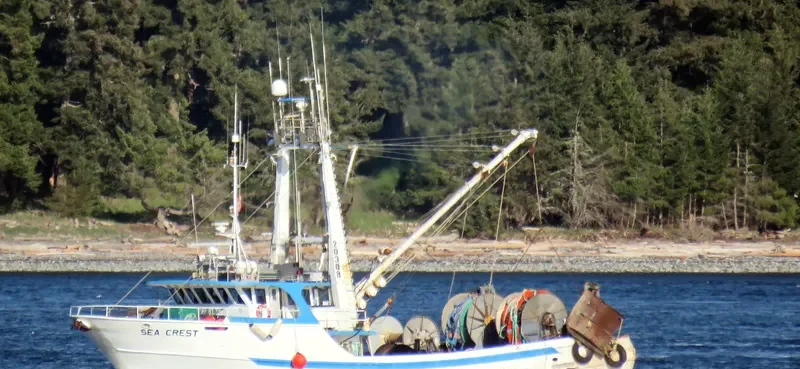 SEA CREST Fishing Vessel IMO 7910254 photo 8