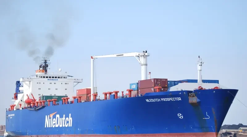 SPECTOR Ro-Ro IMO 7910656 photo 5