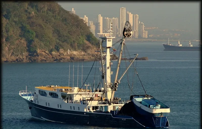 DONA LUCIA General Cargo IMO 7910670 photo 2