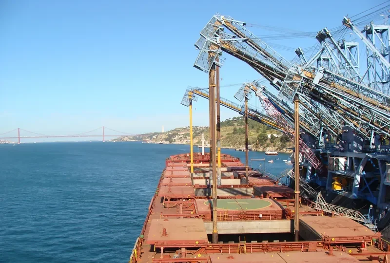 IRIDA Bulk Carrier IMO 7910785 photo 2