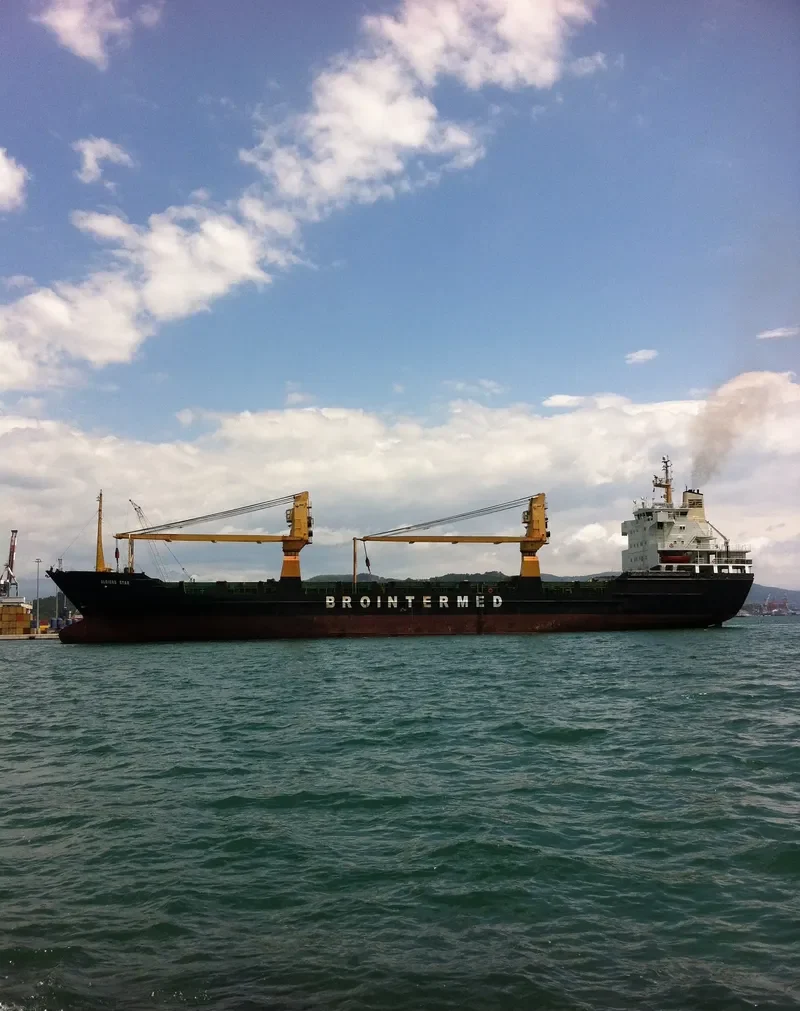 ALGIERS STAR General Cargo IMO 7910852 photo 2