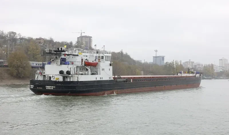 SIBERIN 2 General Cargo IMO 7911492 photo 7
