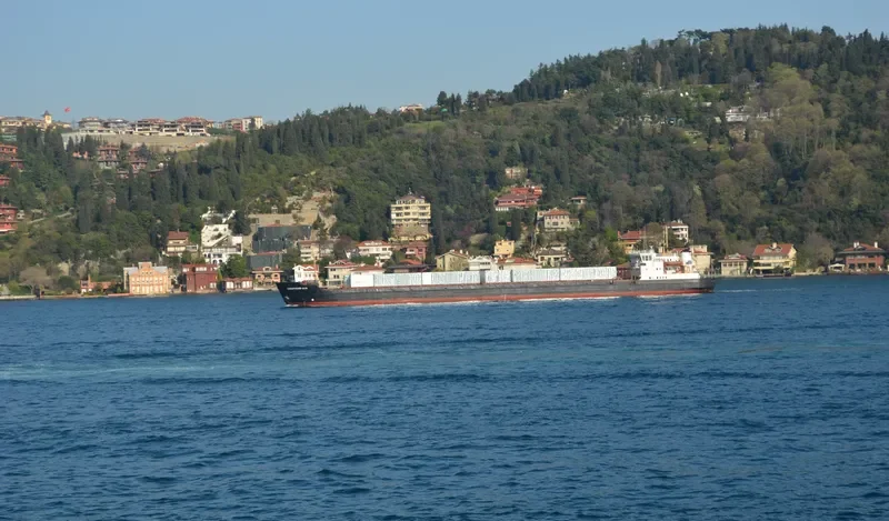SHAKHTY General Cargo IMO 7911507 photo 6