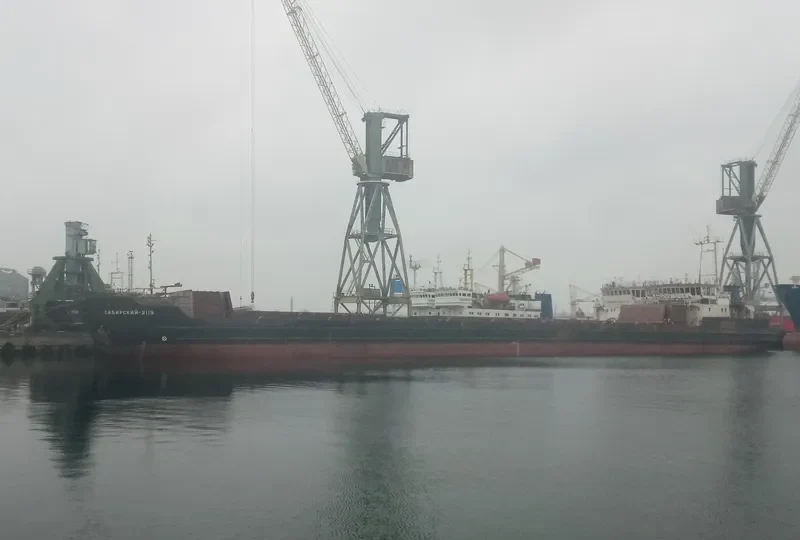 SIBIRSKIY 2119 General Cargo IMO 7911519 photo 2