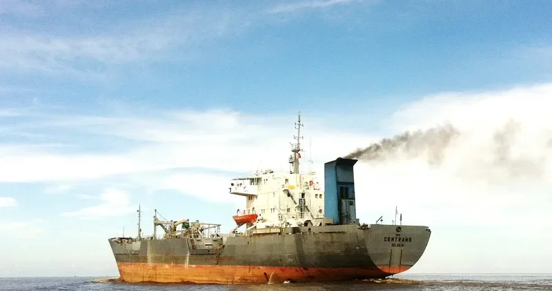 CEMTRANS General Cargo IMO 7911571 photo 3