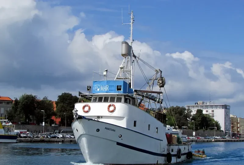 MARITUNA General Cargo IMO 7912135 photo 3