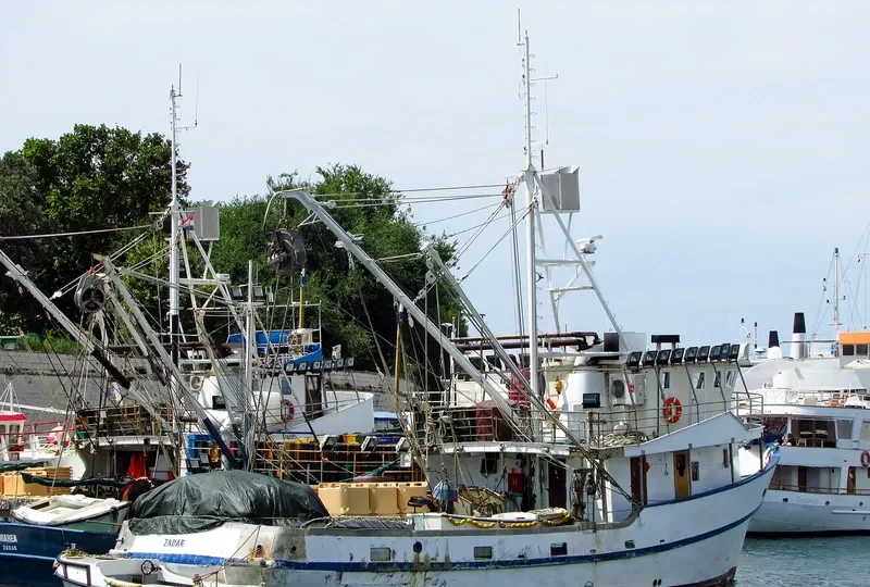 MOLO General Cargo IMO 7912147 photo 2