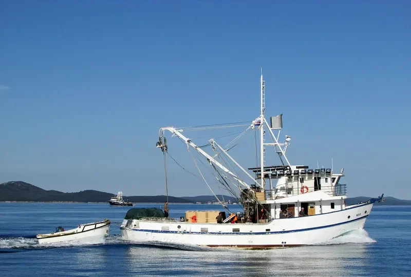 MOLO General Cargo IMO 7912147 photo 4