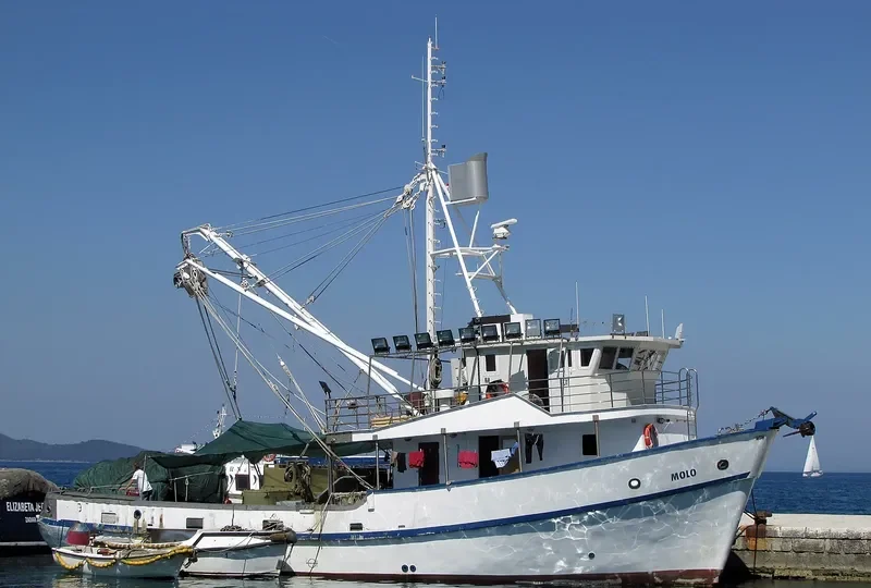 MOLO General Cargo IMO 7912147 photo 5