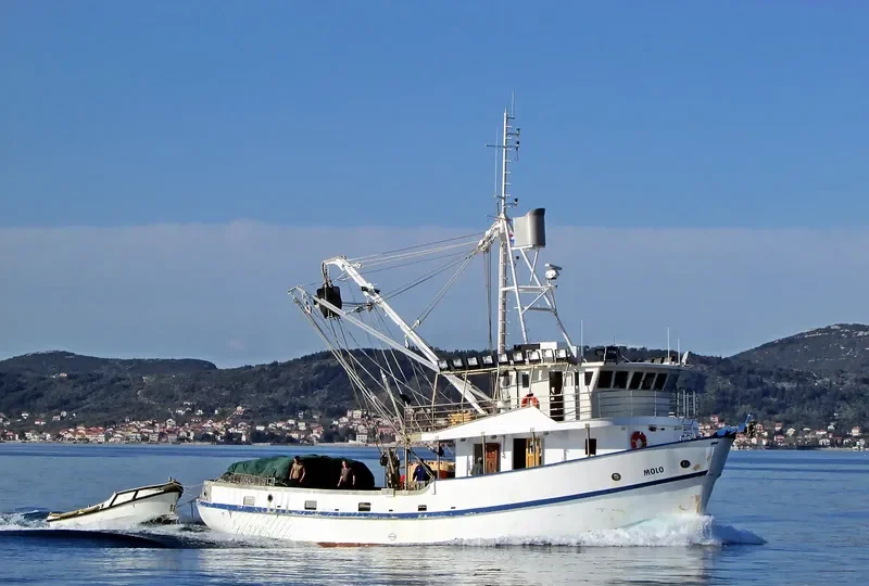 MOLO General Cargo IMO 7912147 photo 6