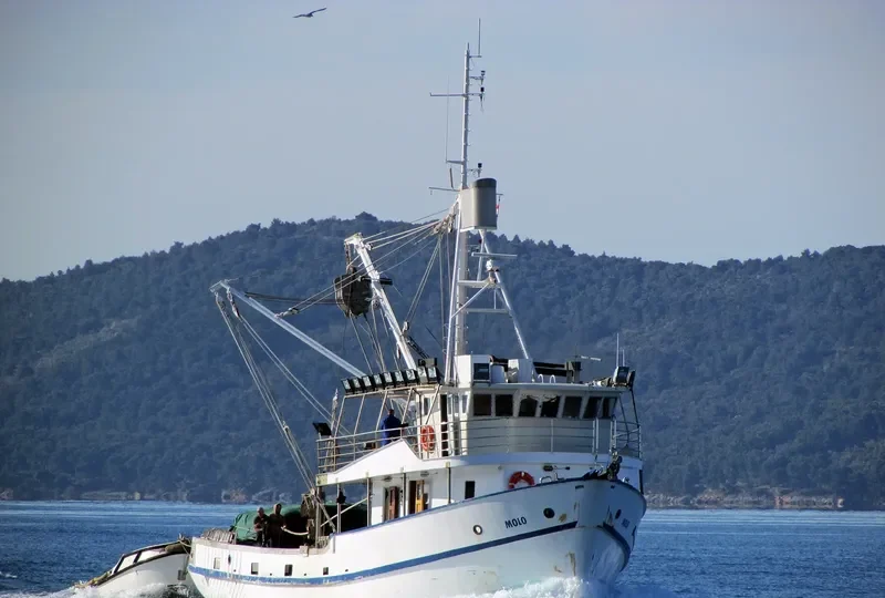 MOLO General Cargo IMO 7912147 photo 8