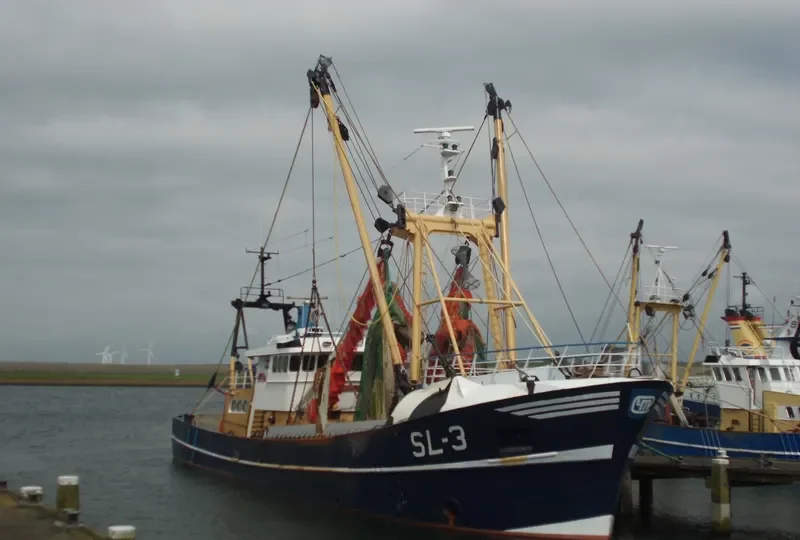 WILLIAM OF LADRAM Fishing Vessel IMO 7912214 photo 6